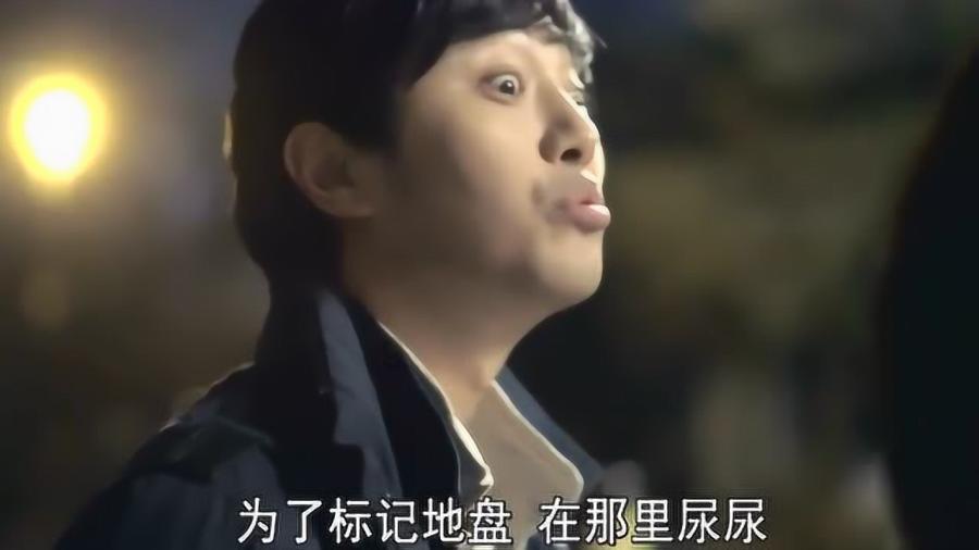 救援小白狼